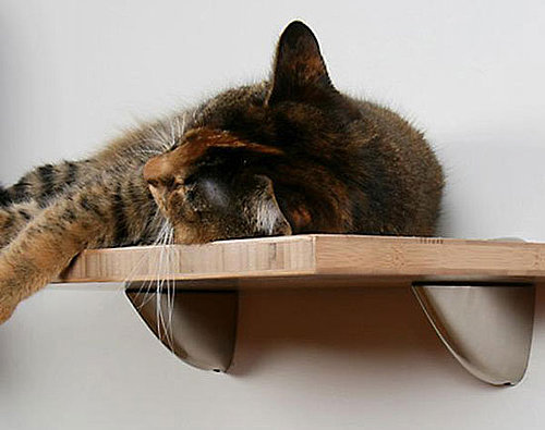Bamboo Cat Shelves From Feel More Human and Square Cat Habitat
