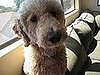 Pet Pics on Petsugar 2008-09-22 08:00:52