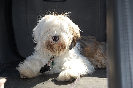 Pet Pics on Petsugar 2008-09-29 08:00:21