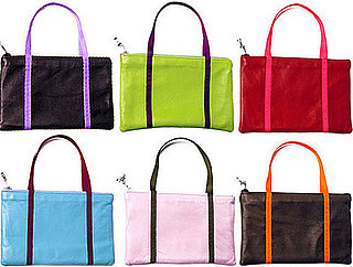 Leather Clutch for Doggie Essentials