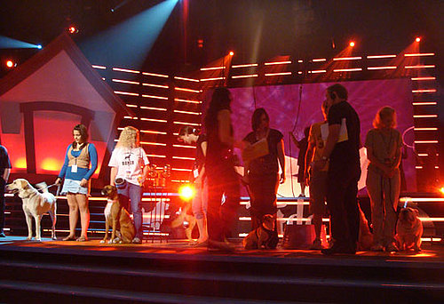Rehearsals Rehearsals