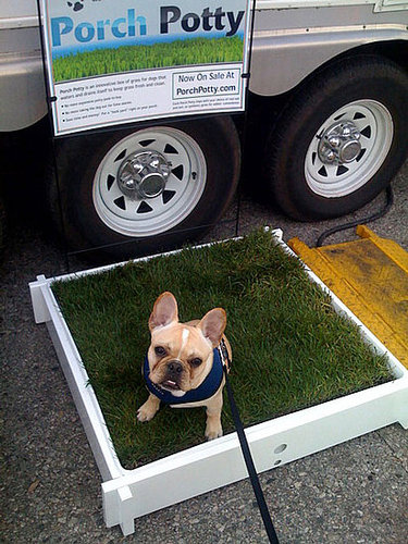 Potty Breaks Potty Breaks
