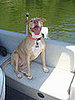 Pet Pics on Petsugar 2008-10-14 08:00:21