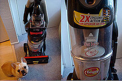 Bissell Pet Hair Eraser Review Bissell Pet Hair Eraser Review