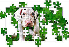 Puppy Jigsaw Puzzle from National Geographic