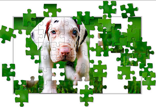 Puppy Jigsaw Puzzle from National Geographic