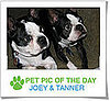 Pet Pics on Petsugar 2008-10-27 07:00:59