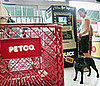 Petco Halloween Photo Shoot and Costume Contest