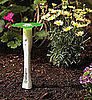 EasyBloom Helps You Keep Plants Alive