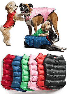 Mascots Fall Line of Cold Weather Essentials