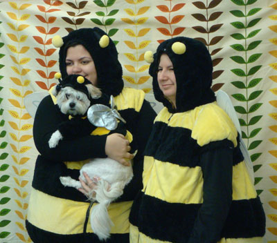 It's a Bee Hive! It's a Bee Hive!