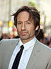 David Duchovny Checks Into Rehab For Sex Addiction