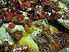 Not Your Regular Nachos: Italian Nachos
