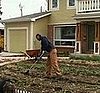 Farms Sprout in Suburbia