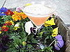 The Official Tartini Recipe From Sex and the City