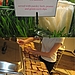 The Food