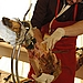 Jamon