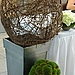 The Decor