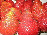 Strawberry Pie