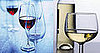 Would You Rather Drink Red or White Wine?