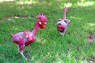 Genetically Altered Animals as Food?