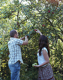 Do You Know Your Fall Produce?