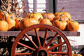 Come Party With Me: Pumpkin Patch Picnic — The Look
