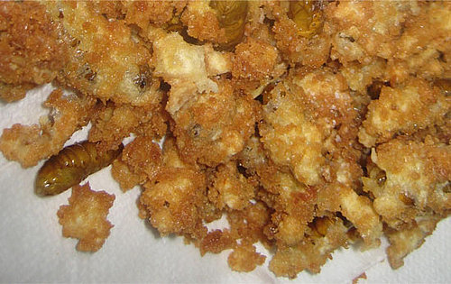 Would You Eat Fried Mealworms?