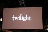 Summit Entertainment Panel
