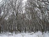 April Blizzard