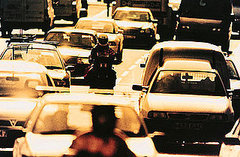 Which Cars Appeared on the Most Ticketed List? Which Cars Appeared on the Most Ticketed List?