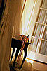 Average Wedding Statistics 2008-04-21 11:34:19