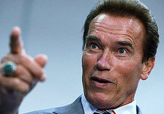 Schwarzenegger's Wage Threat: A State Employee's Reaction Schwarzenegger's Wage Threat: A State Employee's Reaction