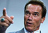 Schwarzenegger's Wage Threat: A State Employee's Reaction 
