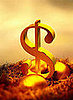 Does Your Employer Match 401(k) Contributions?