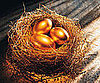 Congress Says: It's National Save For Retirement Week