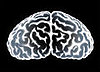 Do You Have the Brain of an Entrepreneur?