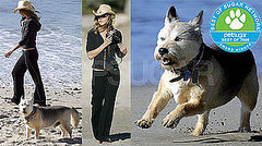 The Results Are In: Celebrity Pet of the Year!