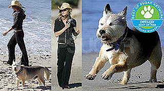 The Results Are In: Celebrity Pet of the Year!