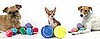 Does Your Dog Have a Favorite Tennis Ball Size?