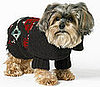 Online Sale Alert! Ralph Lauren For the Pup