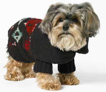Online Sale Alert! Ralph Lauren For the Pup