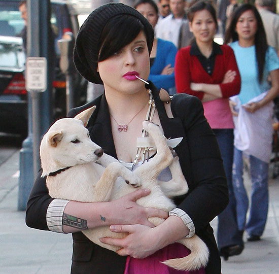 Kelly Osbourne Visits a Beverly Hills Medical Center Carrying Her Unleashed Shiba Inu Puppy Kelly Osbourne Visits a Beverly Hills Medical Center Carrying Her Unleashed Shiba Inu Puppy
