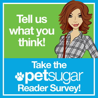 North's Begging For Your Help (and Peanut Butter) . . .
