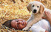 Do Beloved Dogs Raise Oxytocin As Much As Loved People?