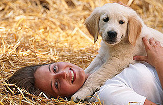 Do Beloved Dogs Raise Oxytocin As Much As Loved People?