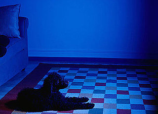 Do You Hide Certain Toys at Nightfall?