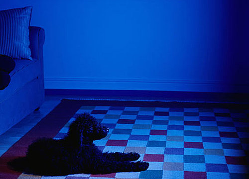 Do You Hide Certain Toys at Nightfall?