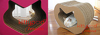 This Scratcher Lets Kitty Scratch Her Own Face 