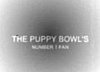 Will Your Pets Watch Puppy Bowl V?